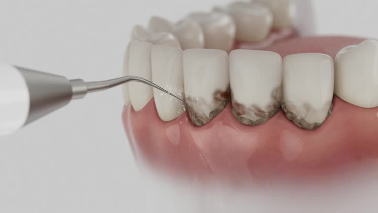 Reliable Dental contractor in Eagle, CO by Dentist Open Now